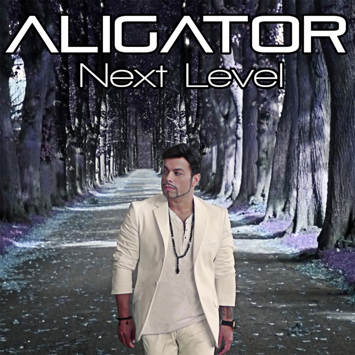 Next Level by DJ Aligator album cover