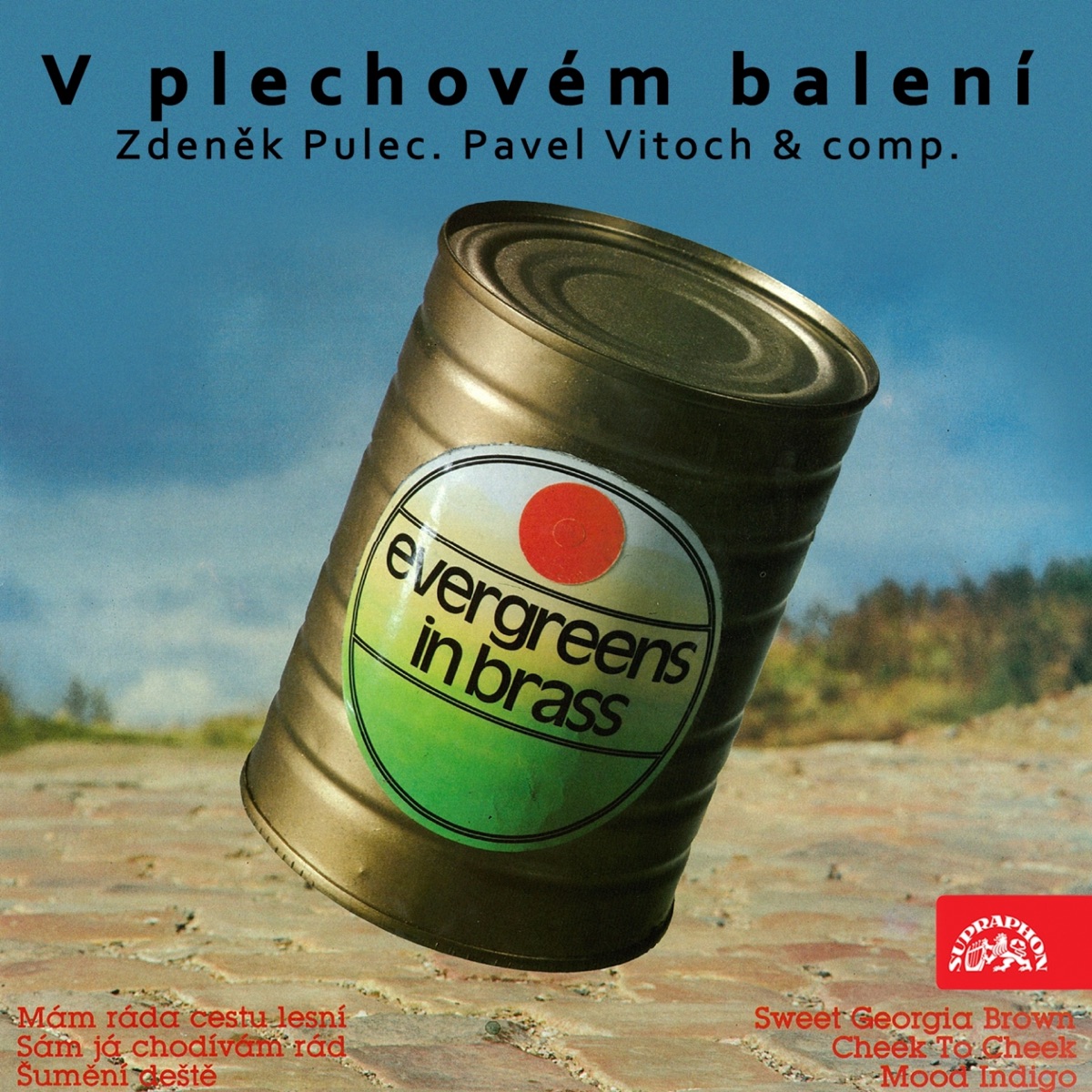 V Plechovém Balení by Zdenek Pulec & Studiový Orchestr Pavla Vitocha album cover