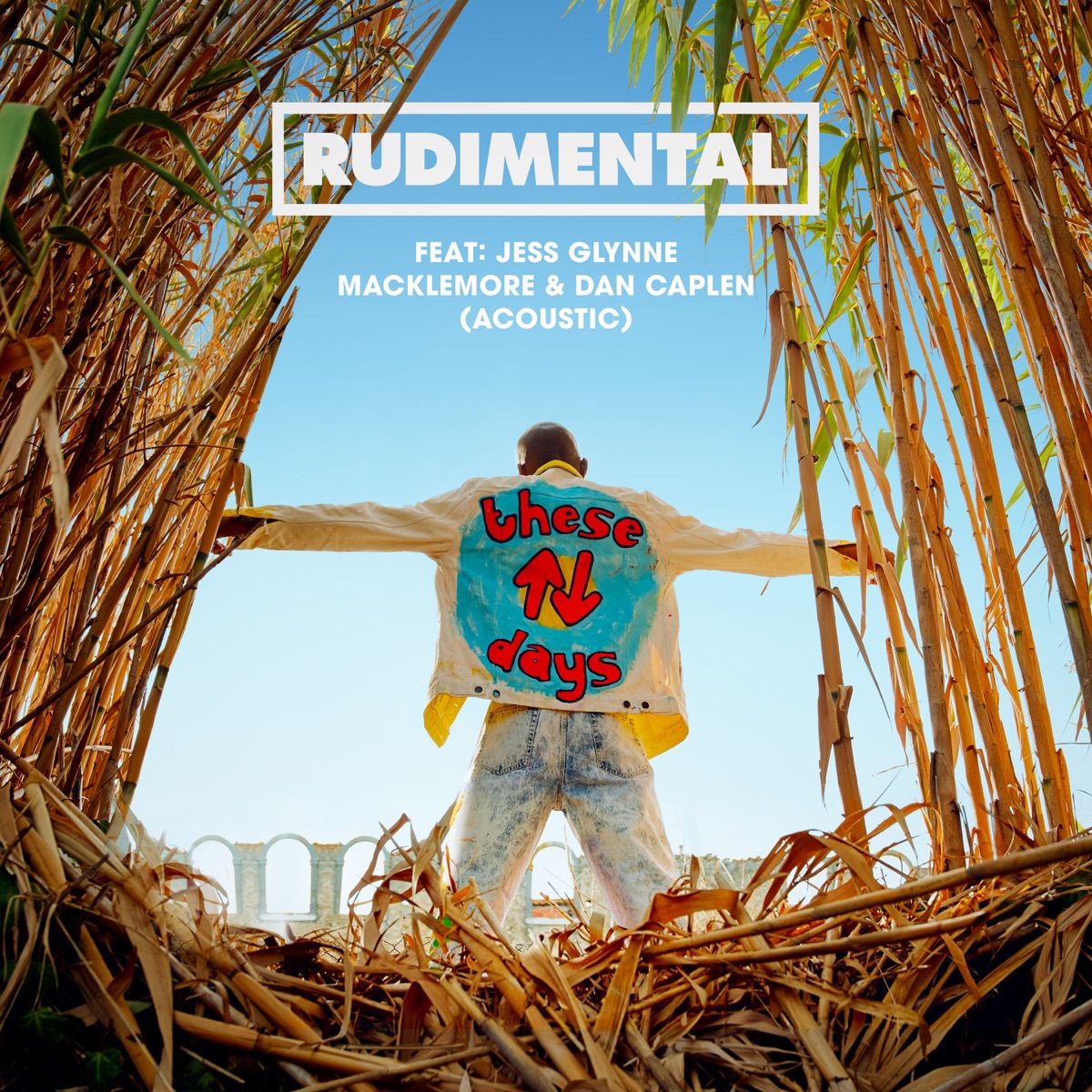 These Days (feat. Jess Glynne, Macklemore & Dan Caplen) [Acoustic] - Single by Rudimental album cover