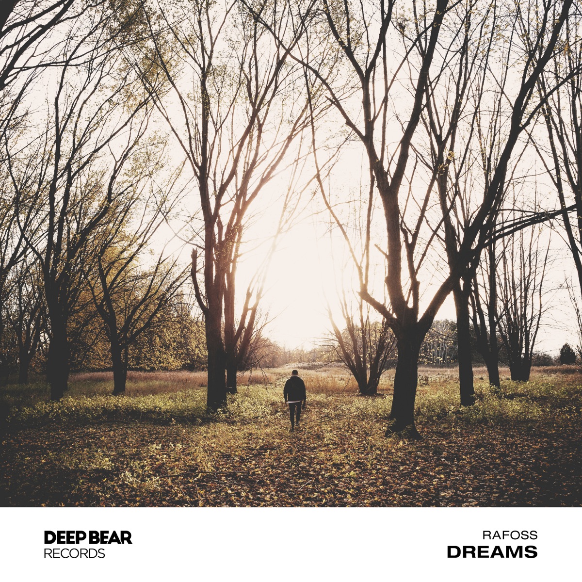 Dreams - Single by Rafoss album cover
