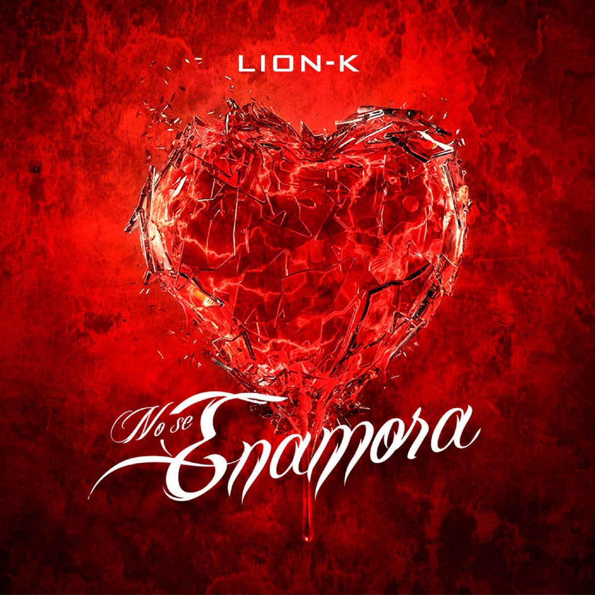 No Se Enamora - Single by Lion K album cover