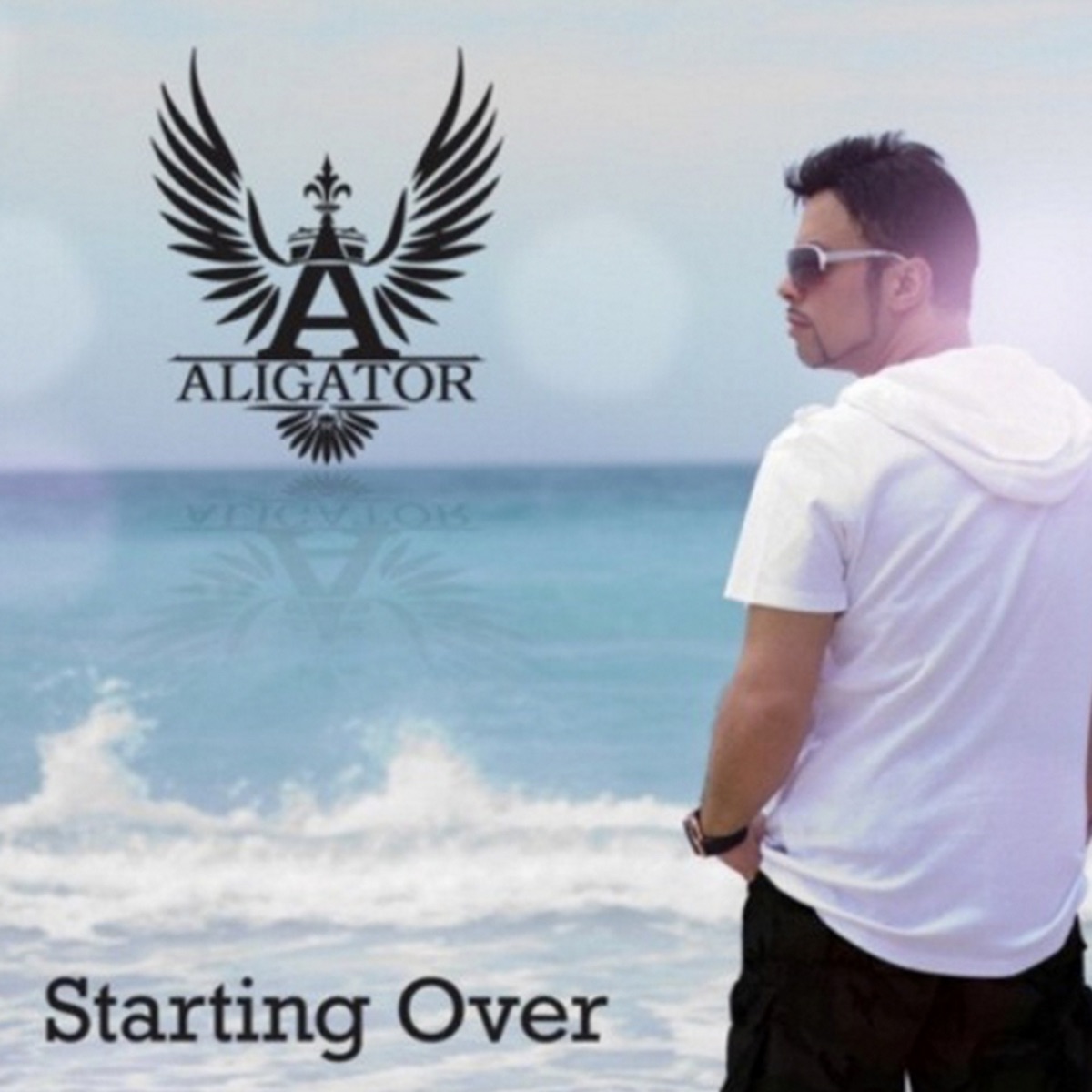 Starting Over - Single by DJ Aligator album cover