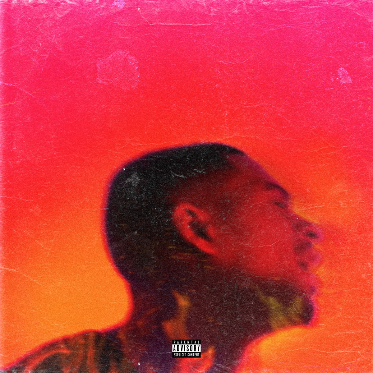 Platinum Fire by Arin Ray album cover