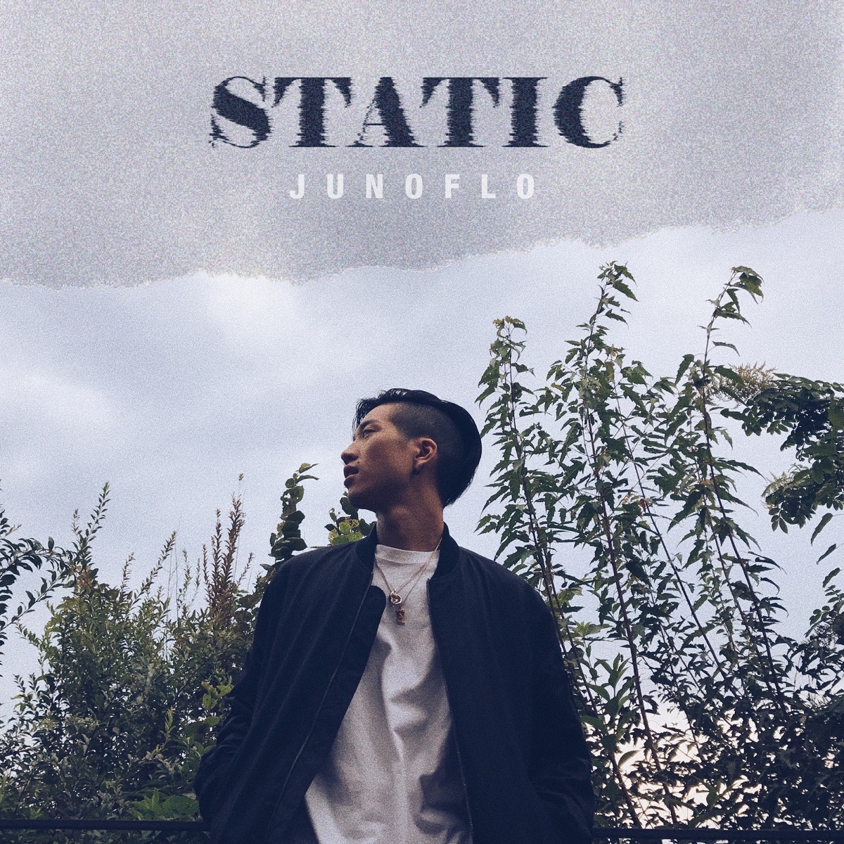 Static - Single by Junoflo album cover