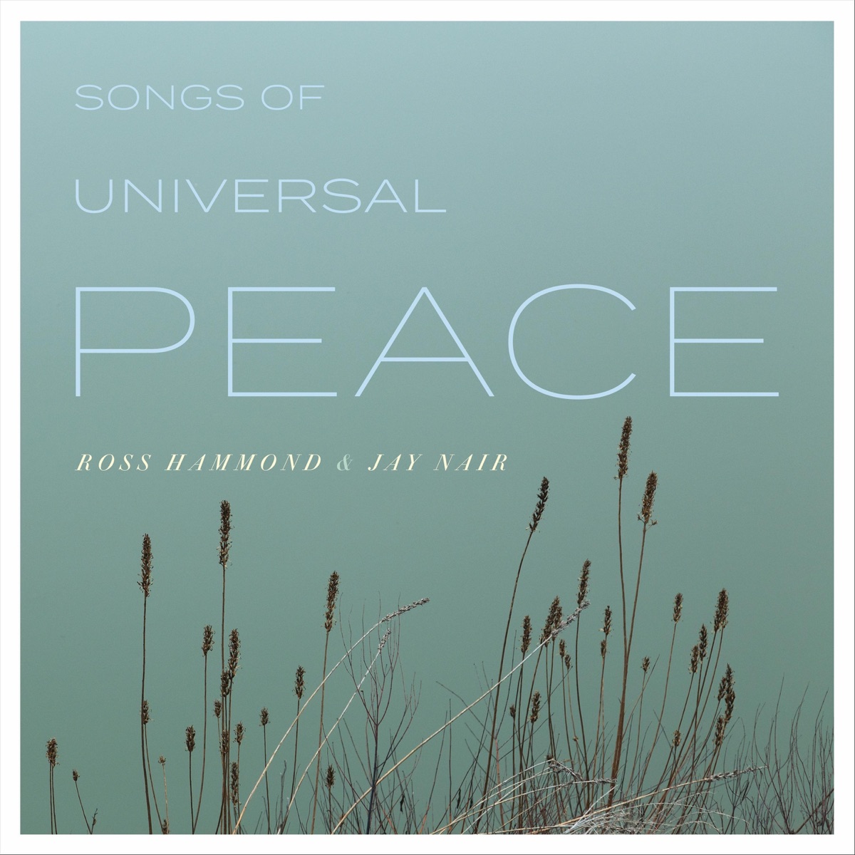 Songs of Universal Peace by Ross Hammond & Jay Nair album cover