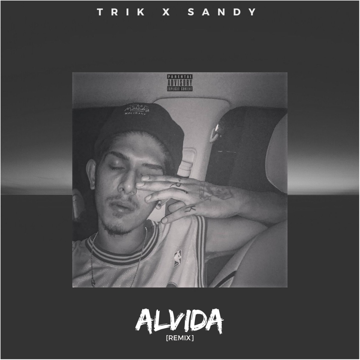 Alvida (Remix) - Single by Trik & Sandy album cover