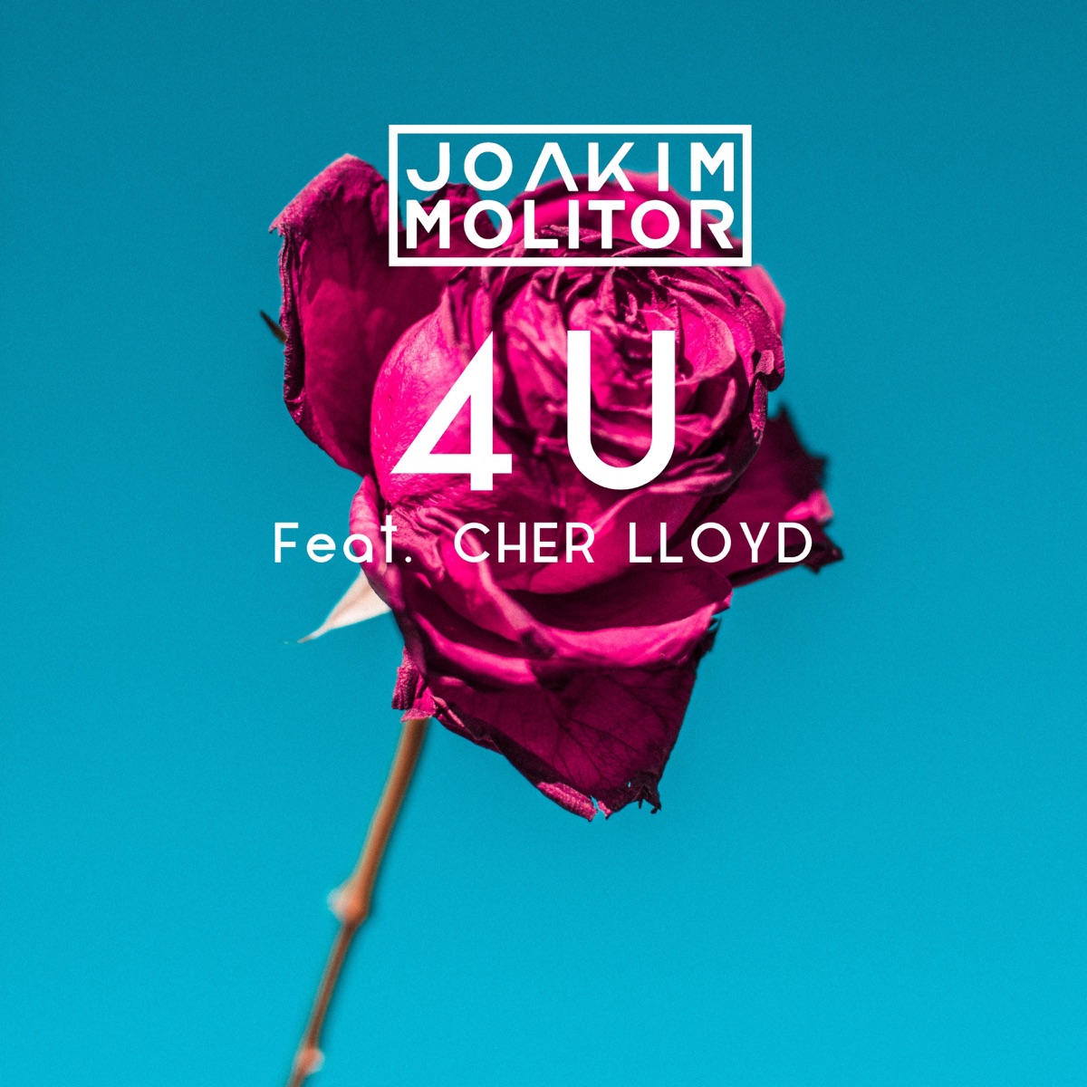 4U - Single by Joakim Molitor & Cher Lloyd album cover
