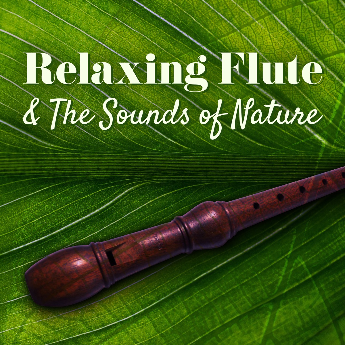 Relaxing Flute & the Sounds of Nature: Amazing Flute Music for Meditation Session, Spa, Massage, Sound Therapy with Sea, Forest & Birds by Relaxing Flute Music Zone & Relaxation Meditation Songs Divine album cover
