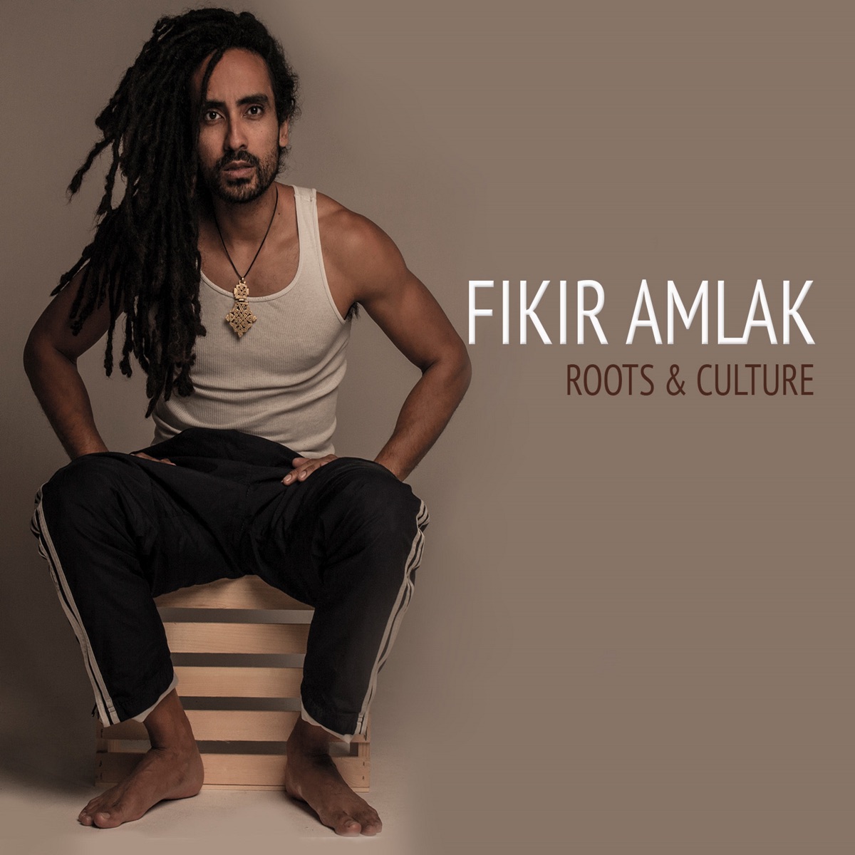 Roots & Culture by Fikir Amlak album cover