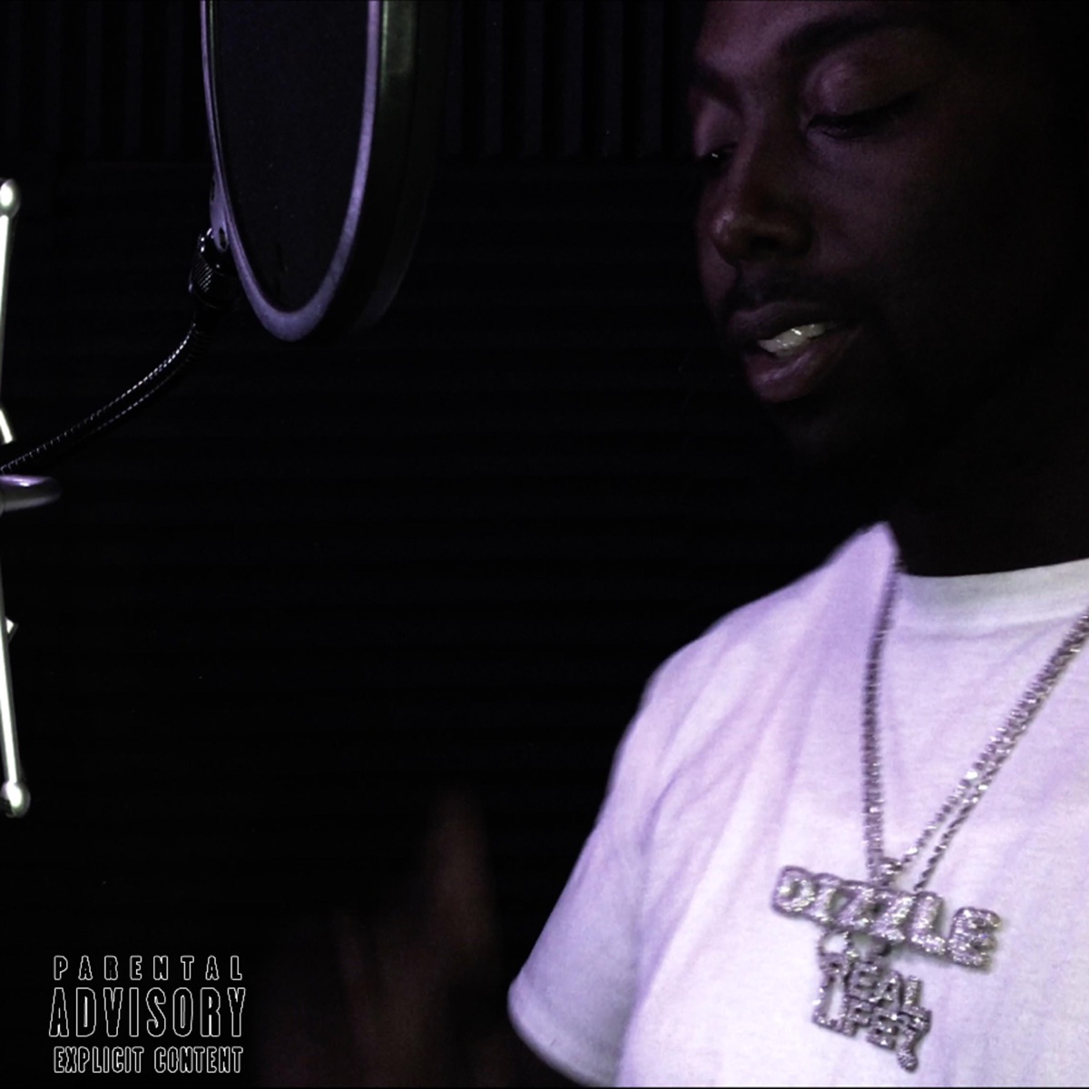 Diary - Single by TMP Dizzle album cover
