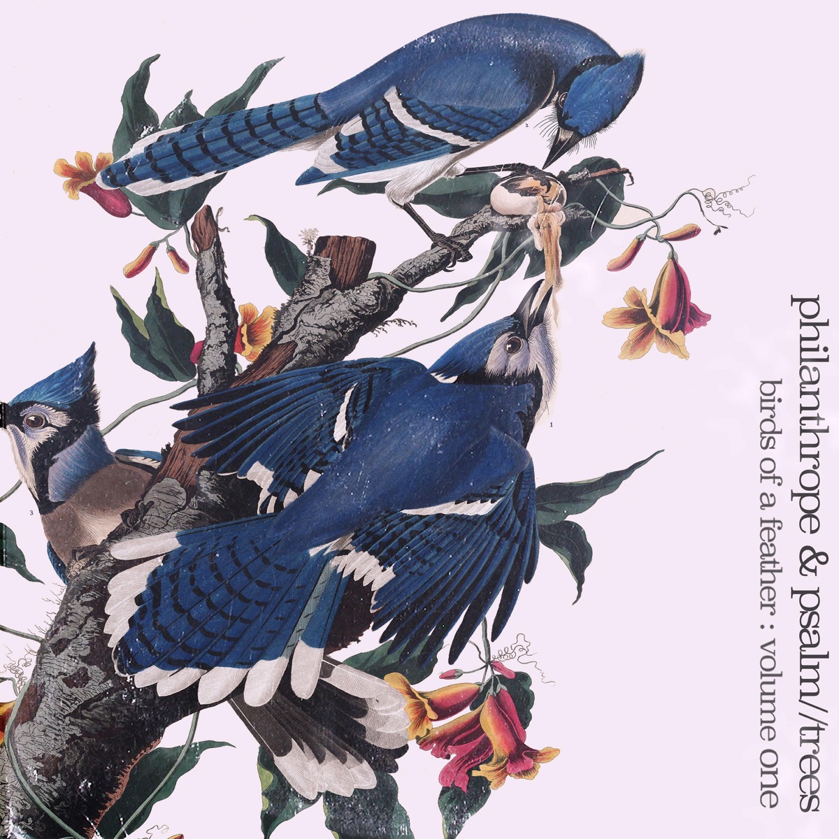 Birds of a Feather, Vol. 1 by Psalm Trees & Philanthrope album cover