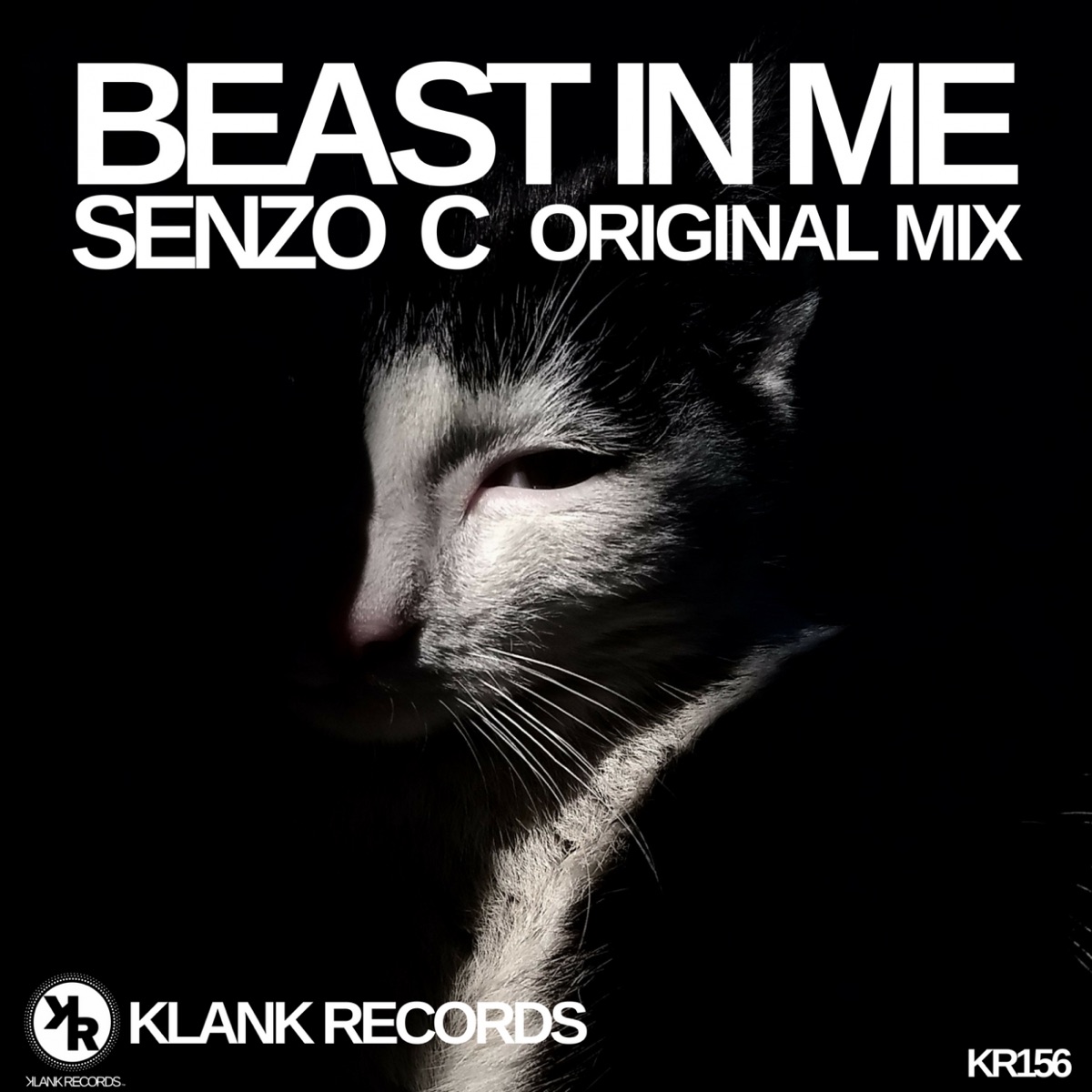 Beast in Me - Single by Senzo C album cover