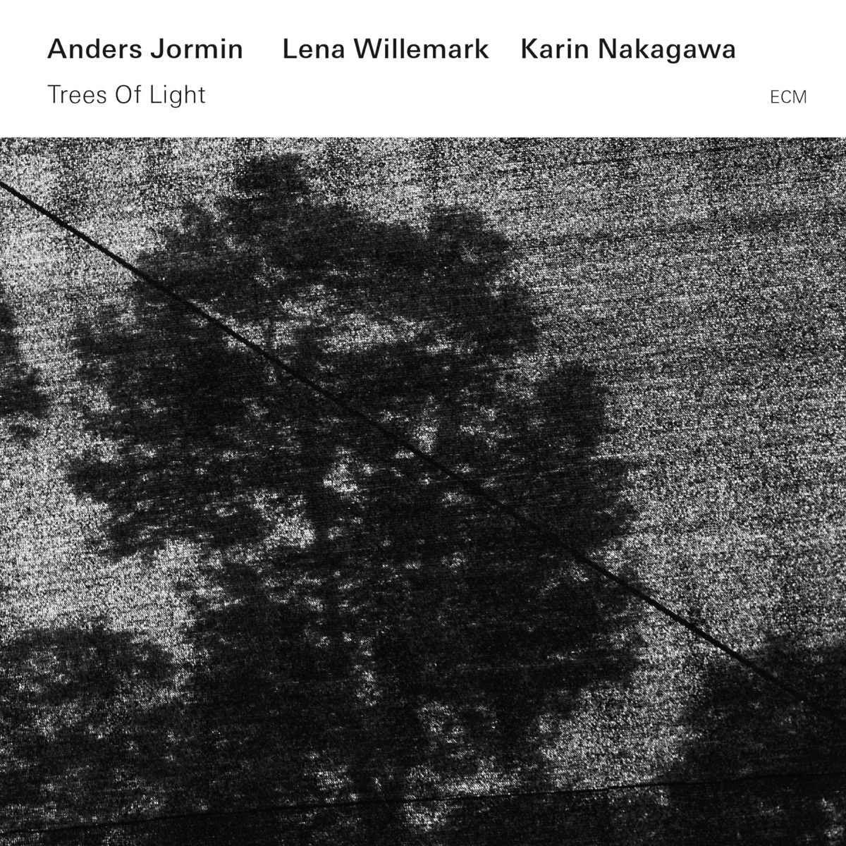 Trees of Light by Lena Willemark, Karin Nakagawa & Anders Jormin album cover