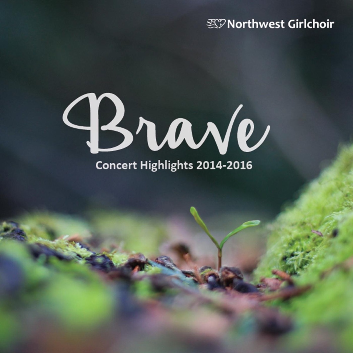 Brave by Northwest Girlchoir album cover