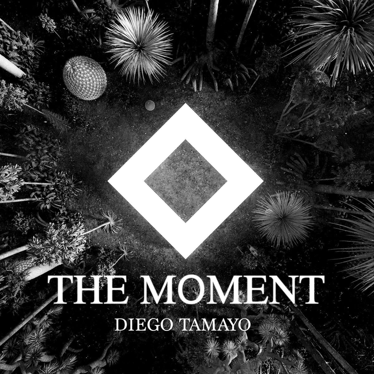 The Moment - Single by Diego Tamayo album cover