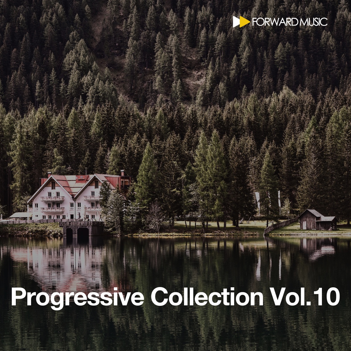 Progressive Collection, Vol. 10 by Martin Roth, Pablo Bolivar & Zone+ album cover