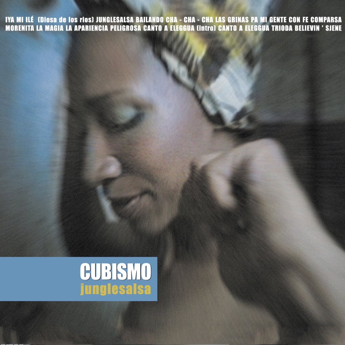 Junglesalsa by Cubismo album cover
