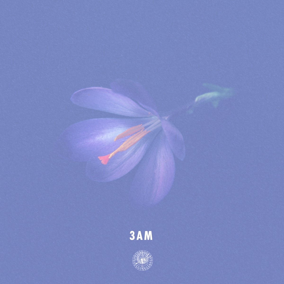 3AM feat. Haneri - Single by AmPm album cover