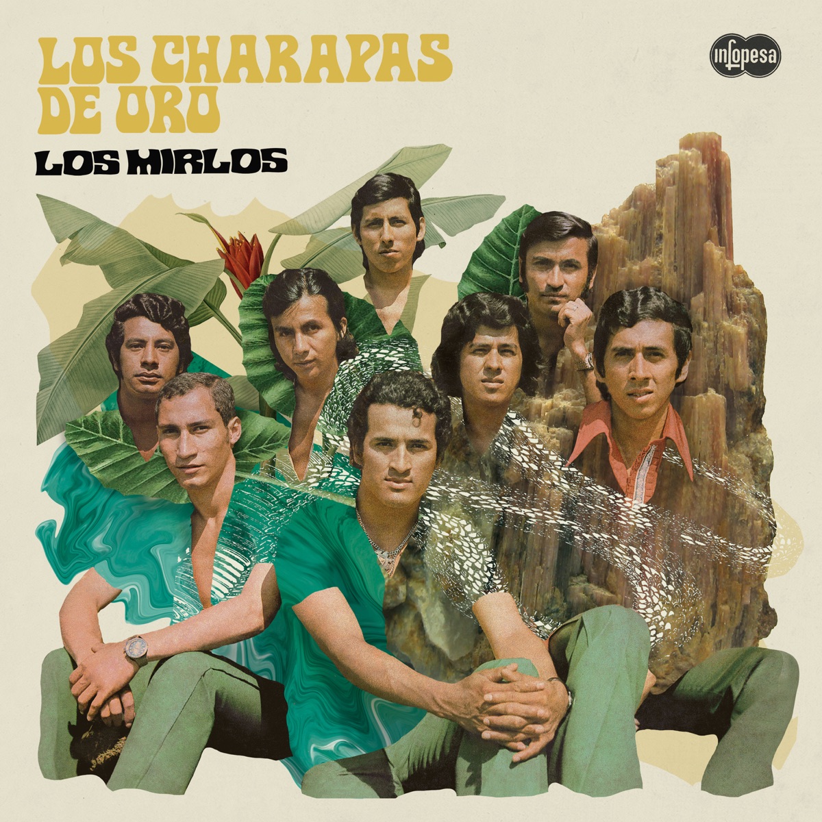 Los Charapas de Oro by Los Mirlos album cover