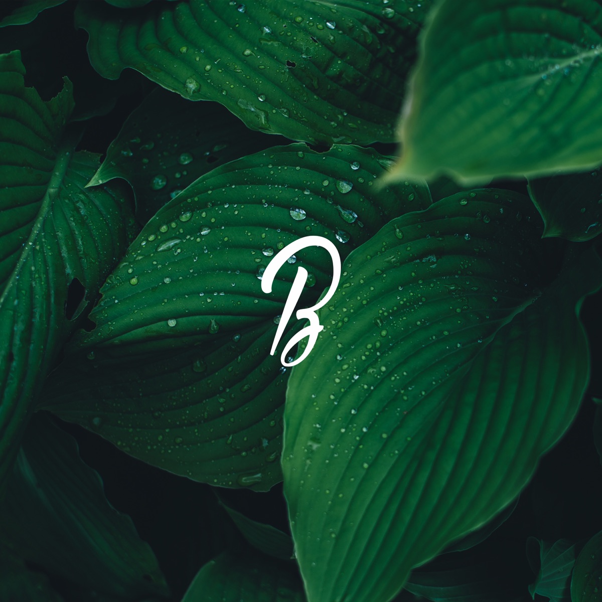 Green Motions by Blunted Beatz album cover