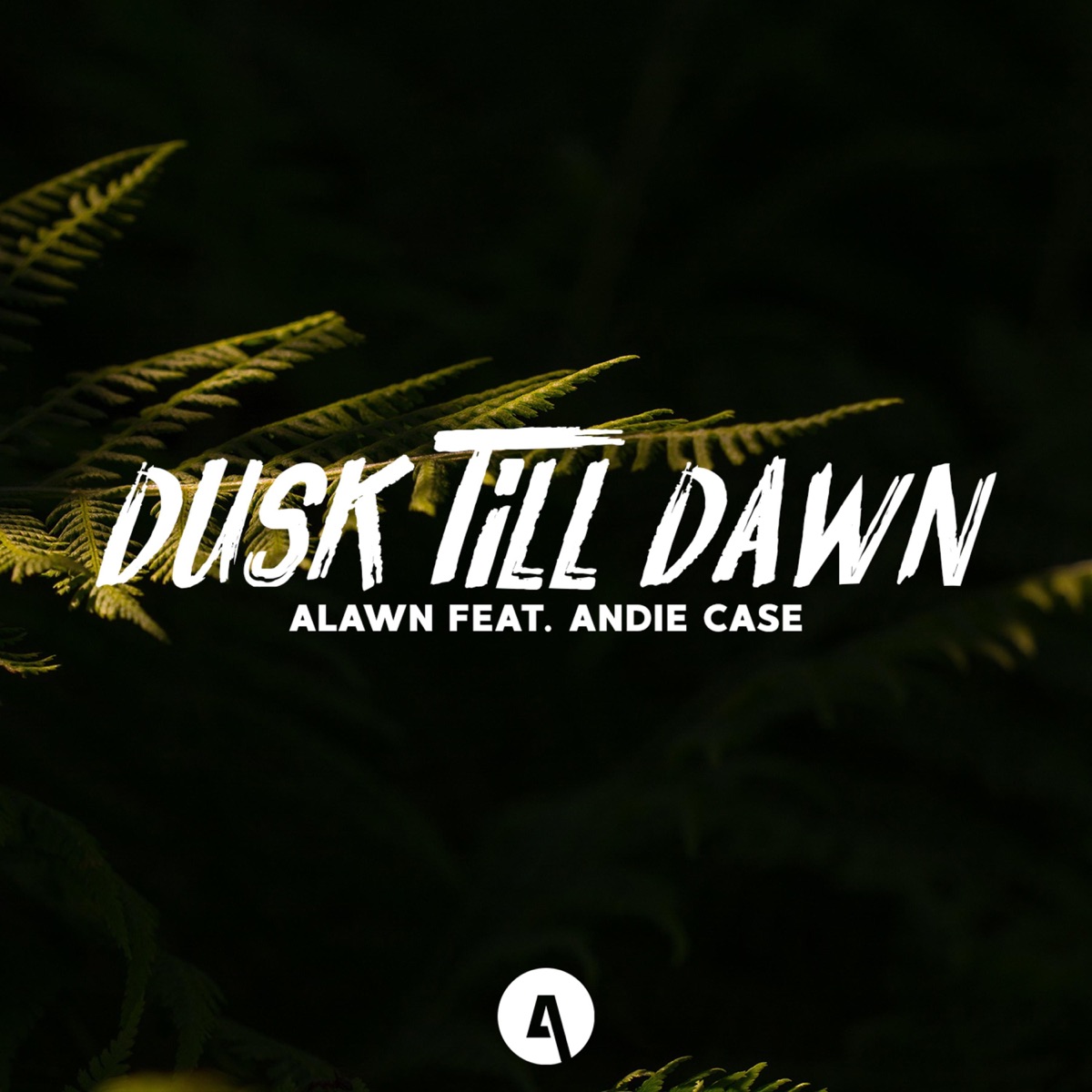 Dusk Till Dawn (feat. Andie Case) - Single by Alawn album cover