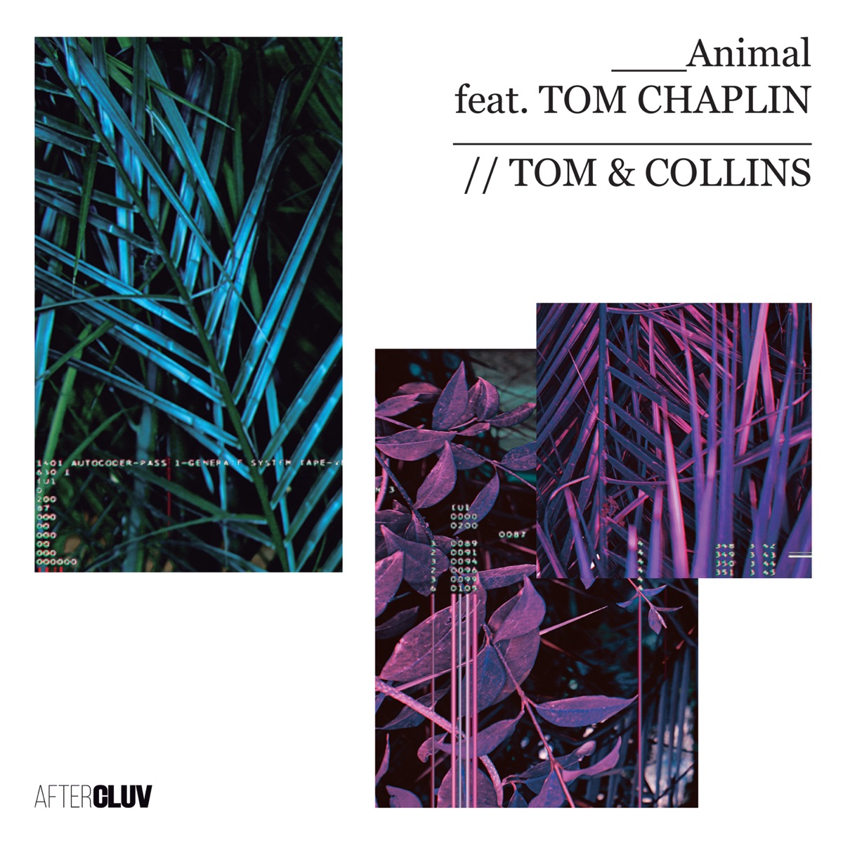 Animal (feat. Tom Chaplin) - Single by Tom & Collins album cover