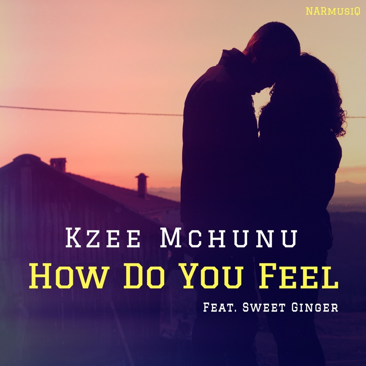 How Do You Feel (feat. Sweet Ginger) - Single by Kzee Mchunu album cover
