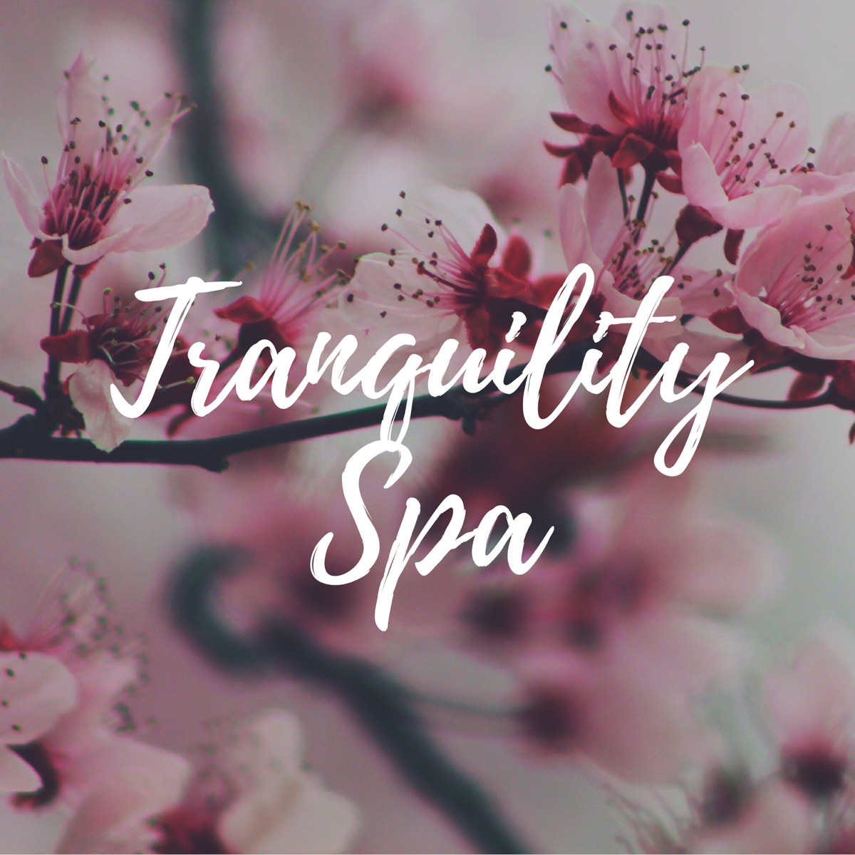 Tranquility Spa: Serenity Relaxing Piano Music with the Sounds of Nature for Total Relax, Most Popular Songs for Massage Therapy by Sunset Production & Agua Del Mar album cover