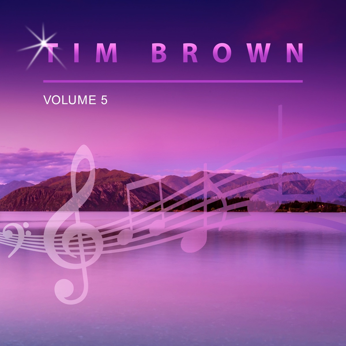 Tim Brown, Vol. 5 by Tim Brown album cover
