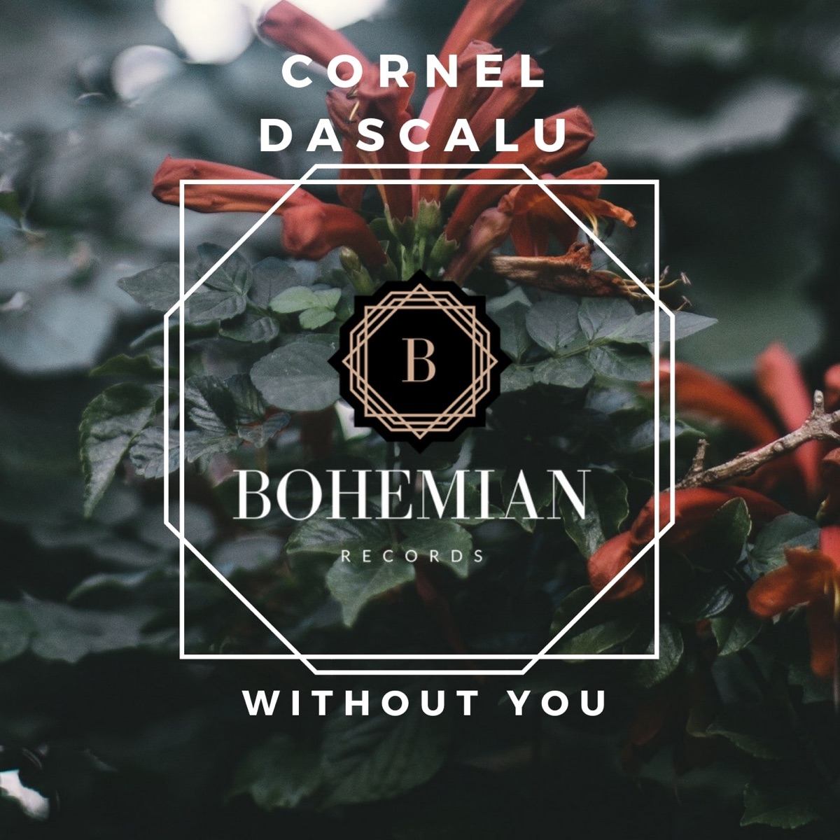 Without You - Single by Cornel Dascalu album cover