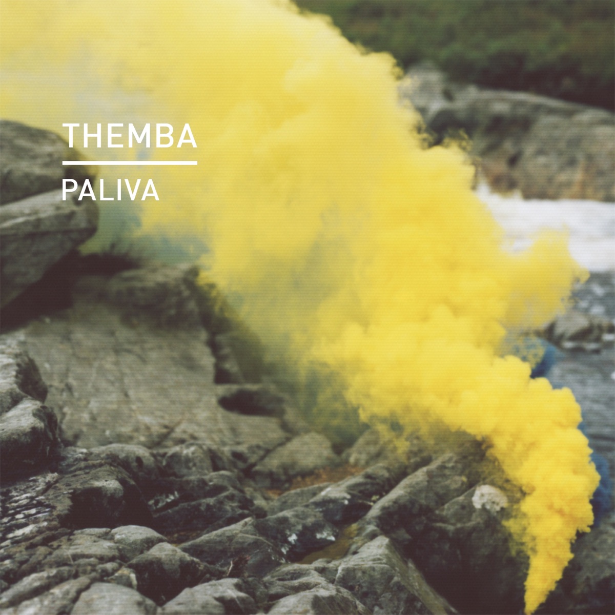 Paliva - Single by THEMBA album cover