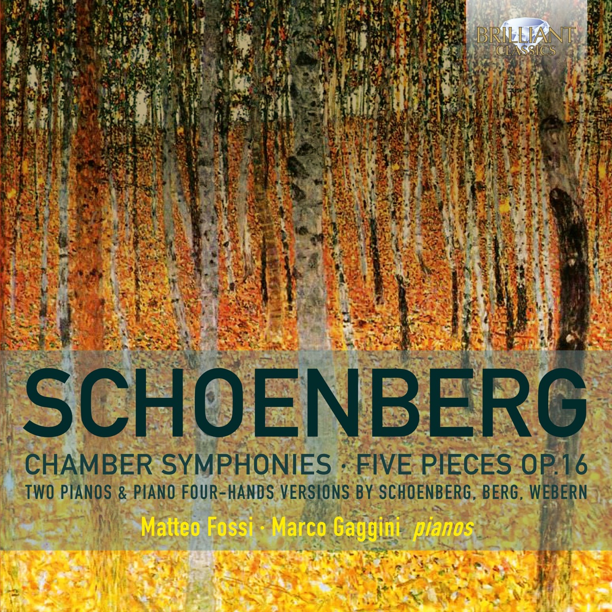 Schoenberg Chamber Symphonies, Five Pieces, Op. 16 by Matteo Fossi & Marco Gaggini album cover