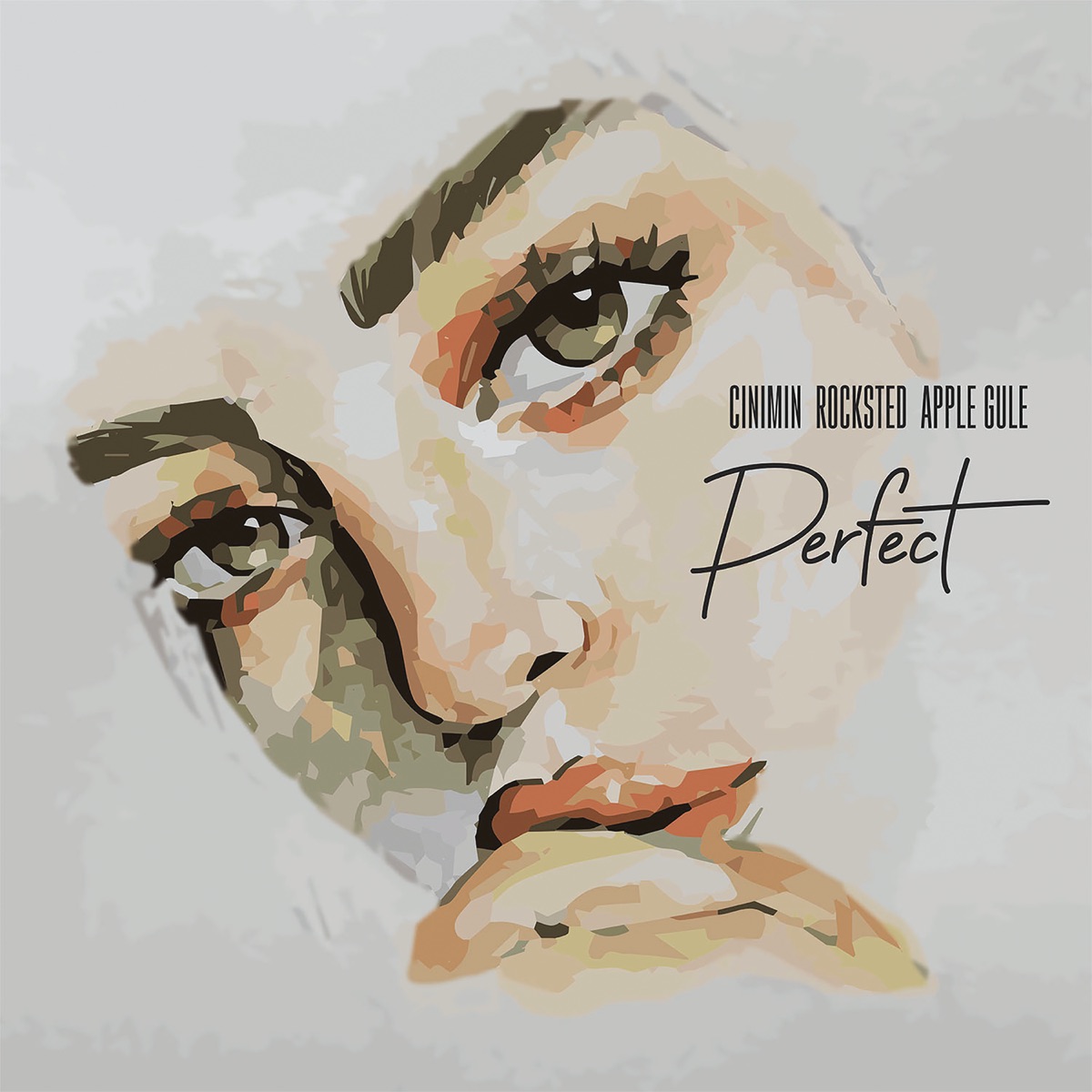 Perfect - Single by CINIMIN, Rocksted & Apple Gule album cover