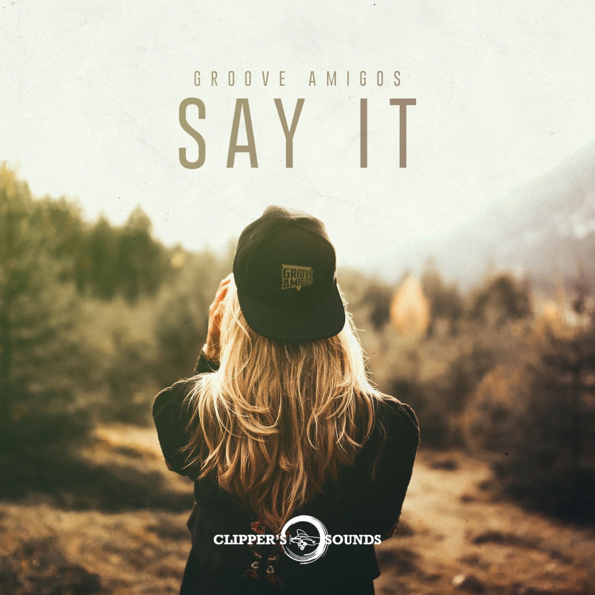 Say It - Single by Groove Amigos album cover