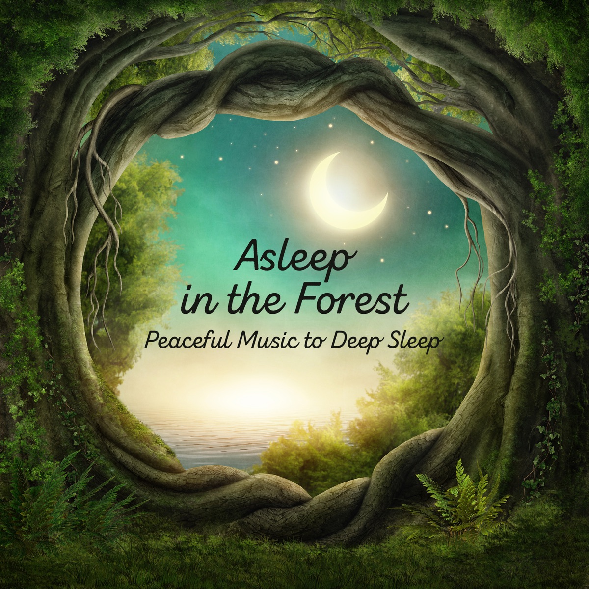 Asleep in the Forest: Peaceful Music to Deep Sleep, Natural Insomnia Cure, Relaxation & Stress Relief by Sleep & Dream Music Academy album cover