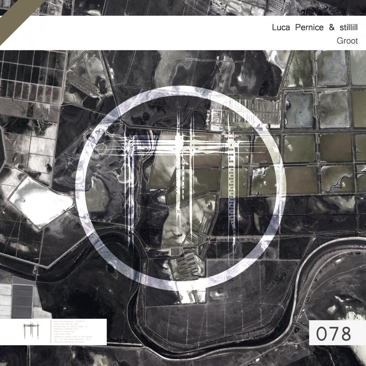 Groot - EP by Luca Pernice & stillill album cover
