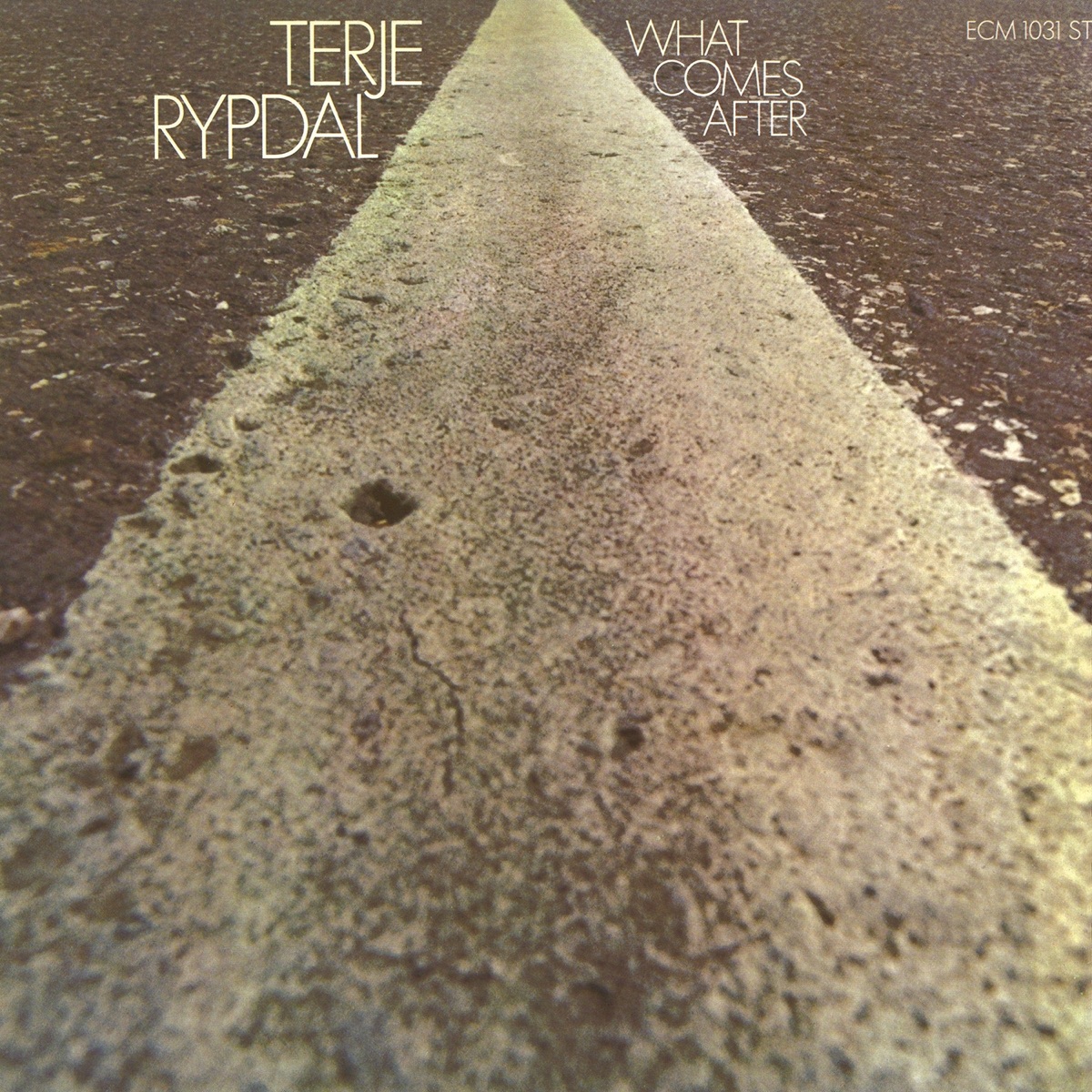 What Comes After by Terje Rypdal album cover