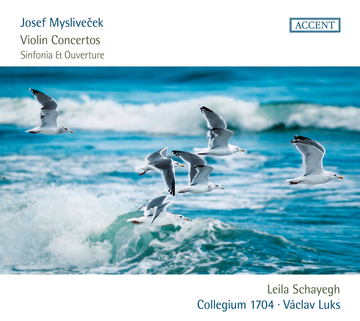 Myslivecek: Violin Concertos and Sinfonia & Ouverture by Leila Schayegh, Collegium 1704 & Václav Luks album cover