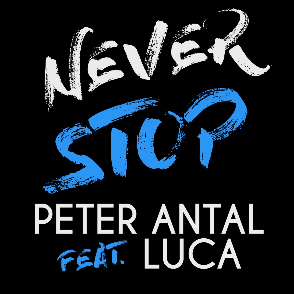 Never Stop (feat. Luca) - Single by Peter Antal album cover