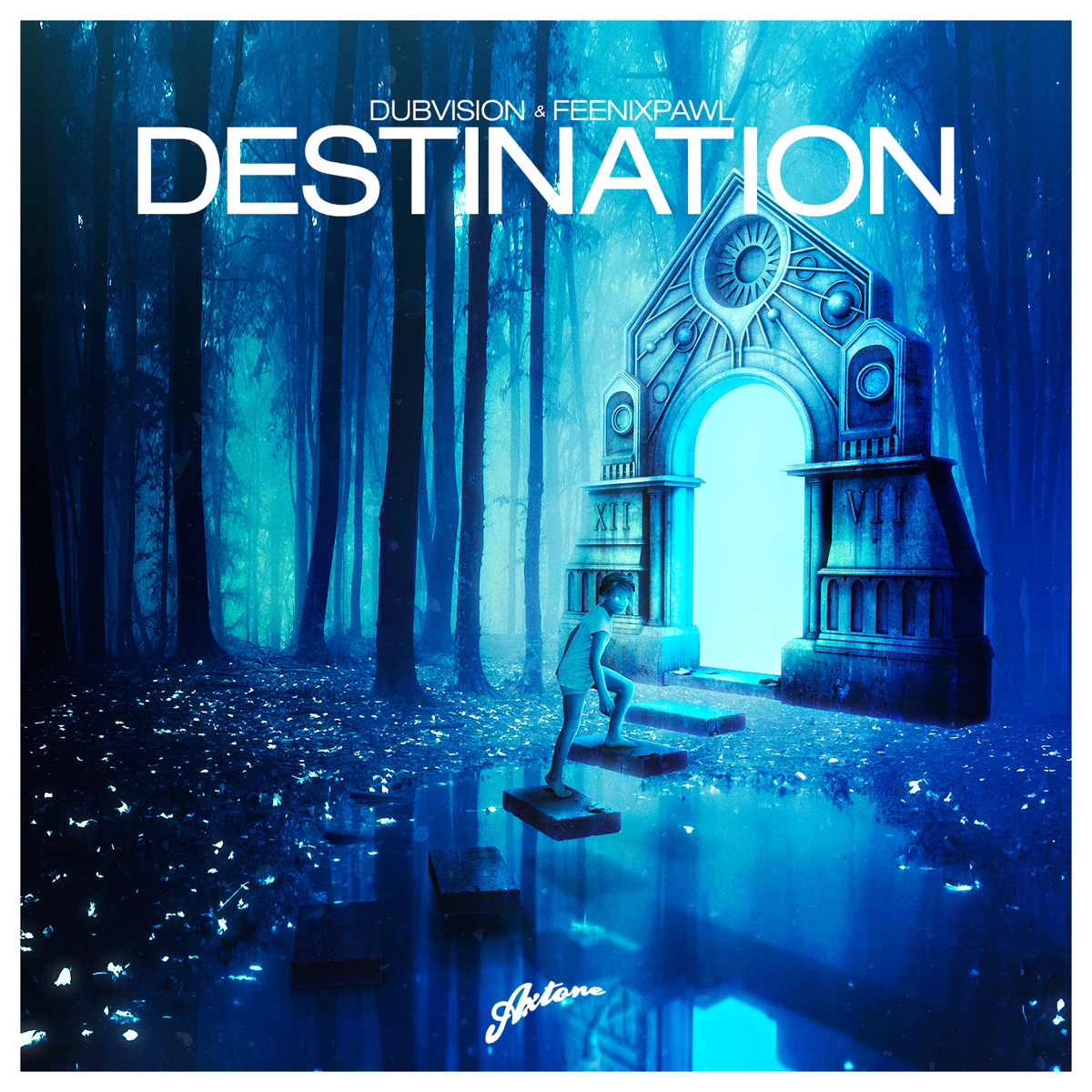 Destination - Single by Feenixpawl & DubVision album cover