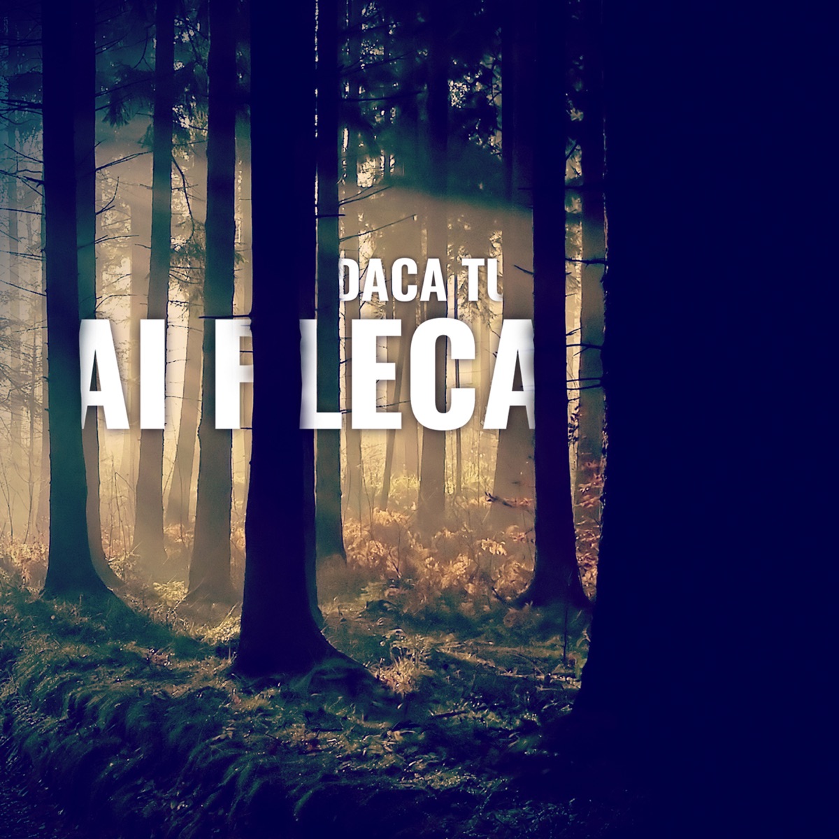 Daca tu ai pleca (feat. Doddy & Ela Rose) - Single by Bloc album cover