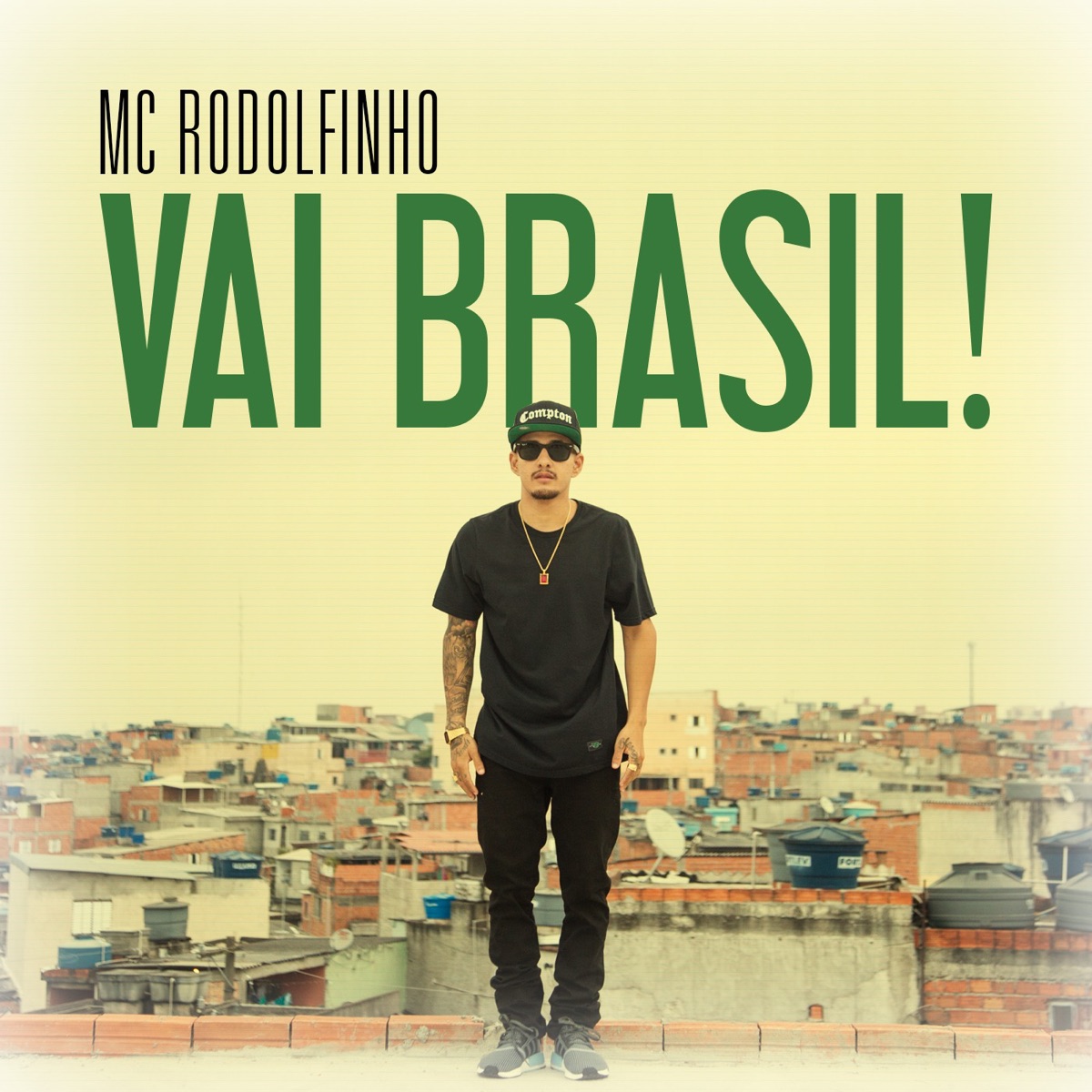 Vai Brasil! - Single by Mc Rodolfinho album cover