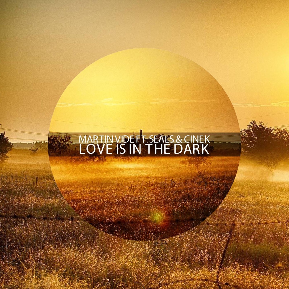 Love Is in the Dark (feat. Seals & Cinek) - Single by Martin Vide album cover