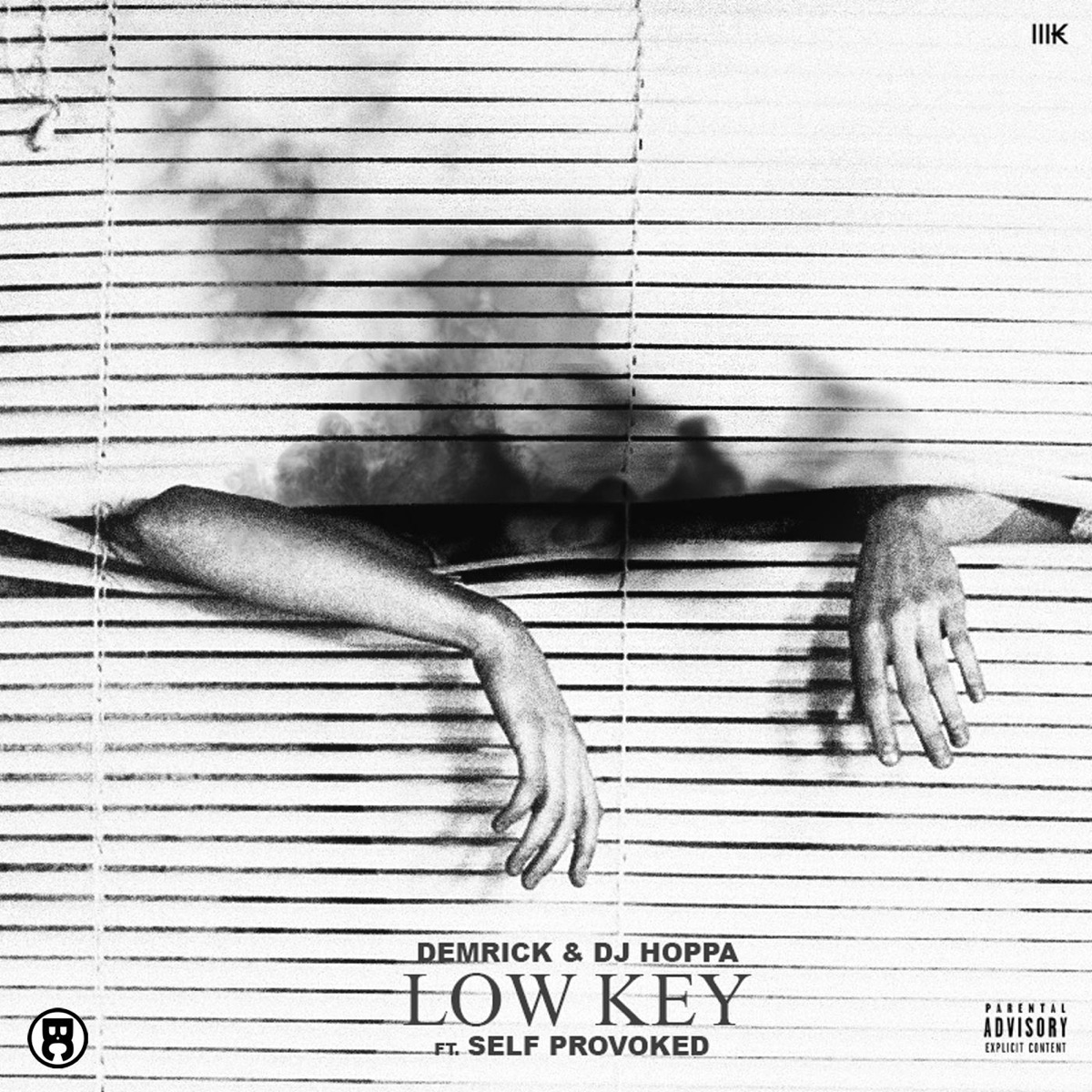 Low Key (feat. Self Provoked) - Single by Demrick & DJ Hoppa album cover