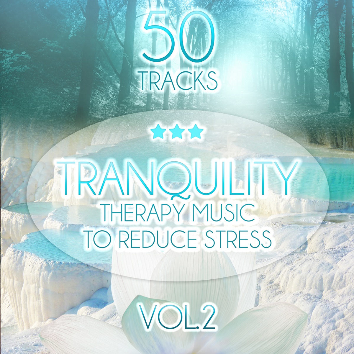 Tranquility: Therapy Music to Reduce Stress, Relaxing Sounds of Nature (Birds, Water, Sound of the Sea) Trouble Sleeping, Meditation, Yoga, Help with Learning, Spa & Massage vol. 2 by Tranquility Spa Universe album cover