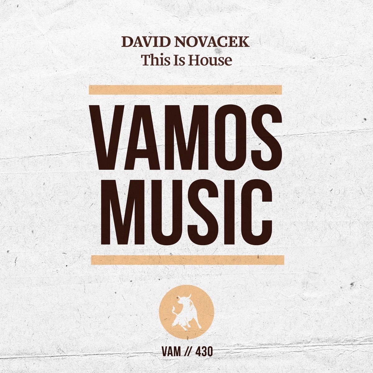 This Is House - Single by David Novacek album cover