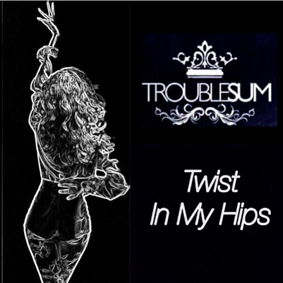 Twist in My Hips - Single by Troublesum album cover