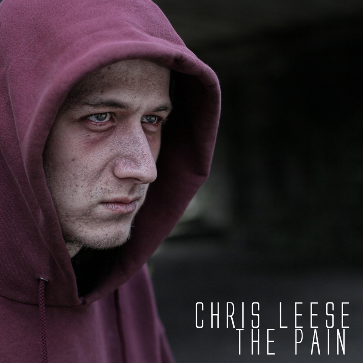 The Pain - Single by Chris Leese album cover
