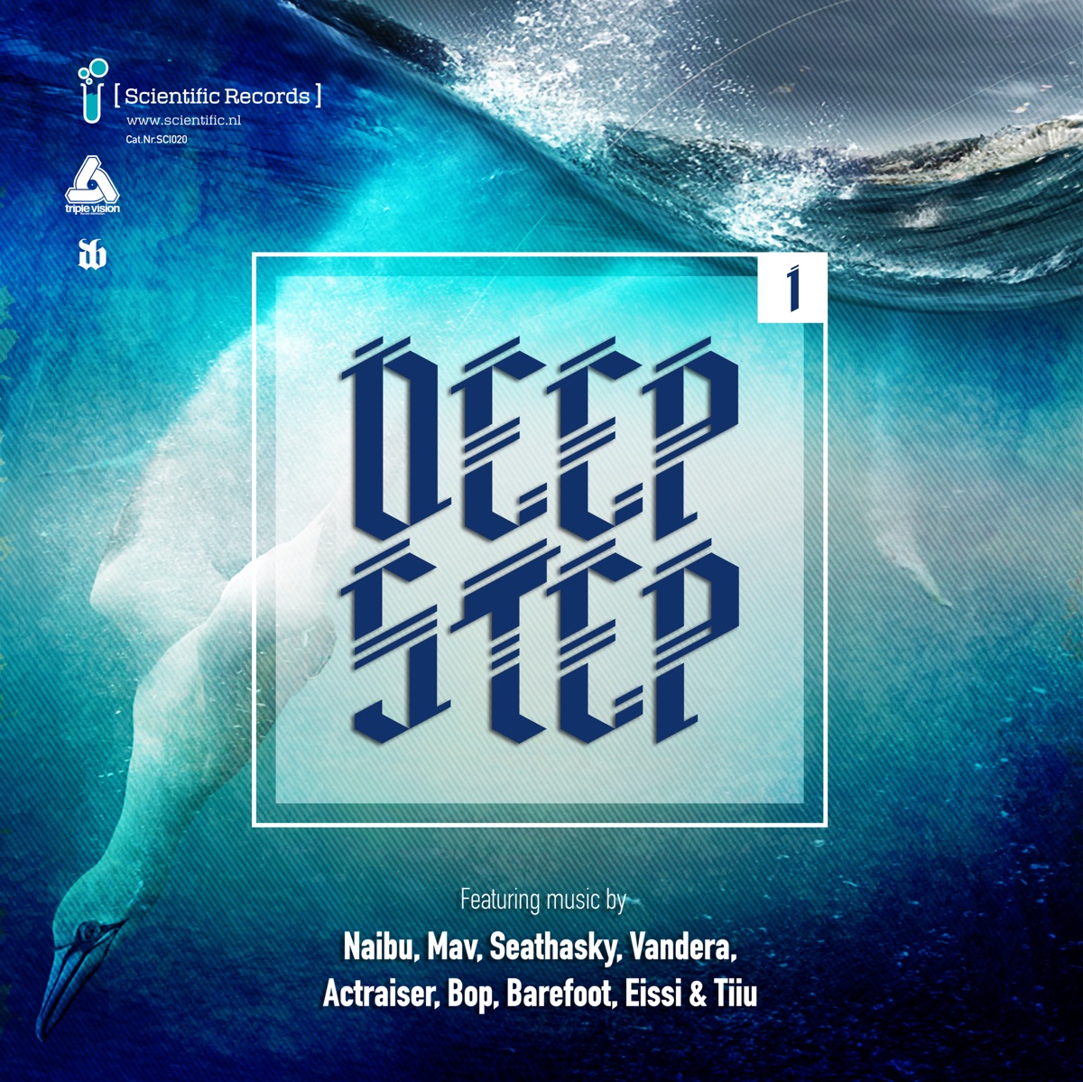 Deepstep .01 Lp by Mav, Actraiser, Tiiu, Barefoot, Eissi, Seathasky, Vandera, Bop & Naibu album cover