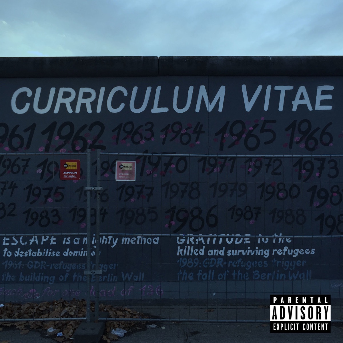 Curriculum Vitae by A. Nayaka album cover